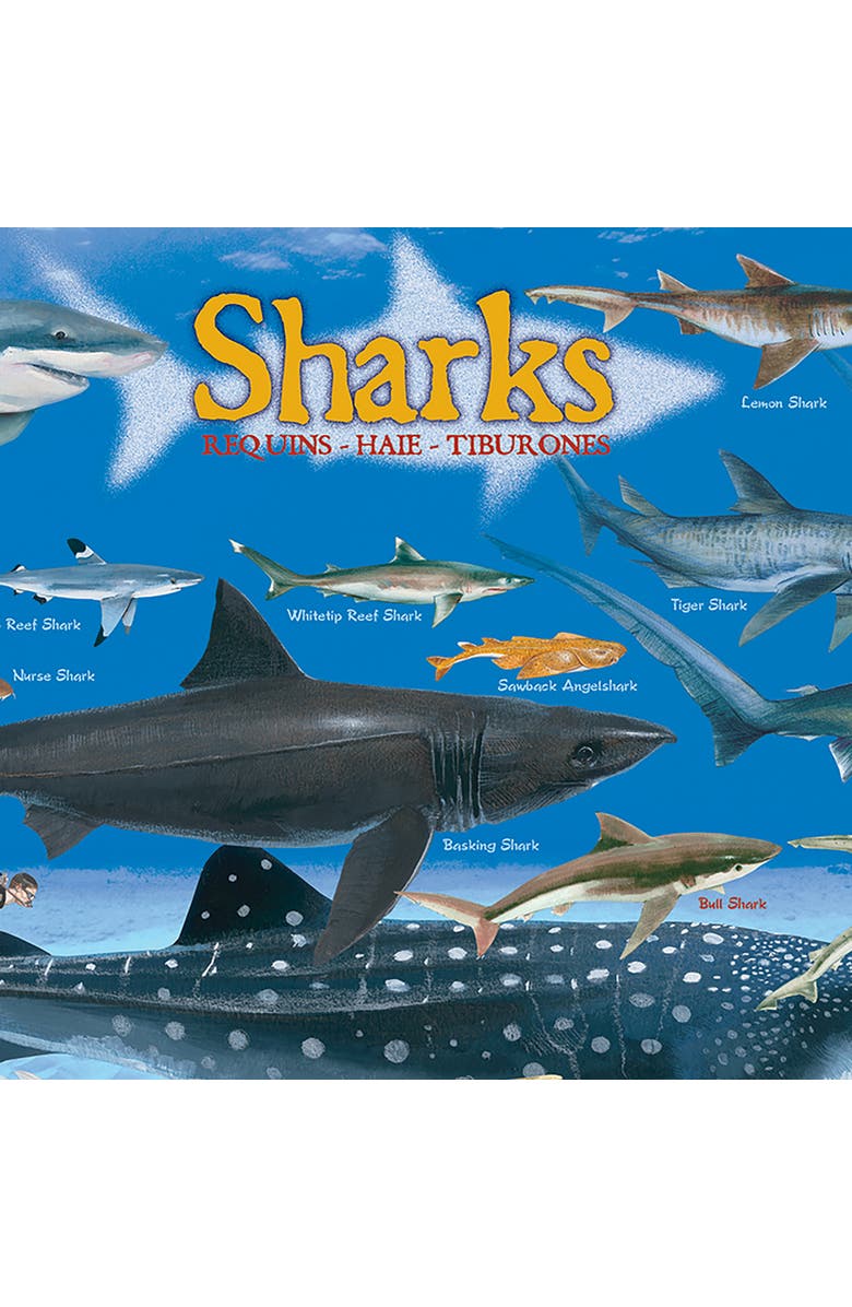 Eurographics Shark Chart Puzzle, 100 Pieces, Alternate, color, Multicolored