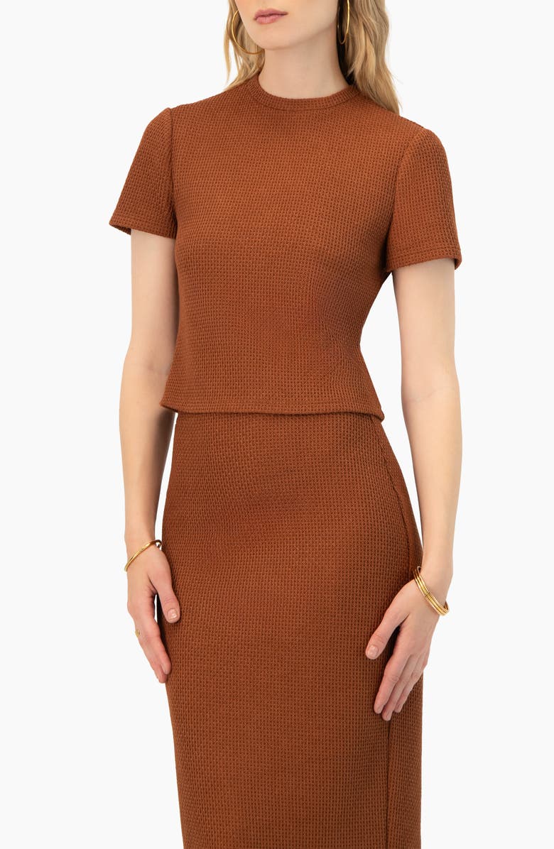 IVONNE Textured Knit Short Sleeve Top, Alternate, color, Brown