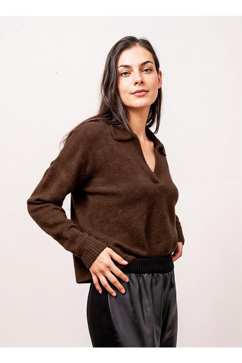 Robbie V-Neck Polo, Main, color, CHOCOLATE