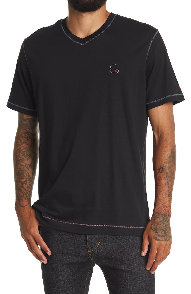 Robert Graham Eye of the Skull Short Sleeve V-Neck T-Shirt, Main, color,