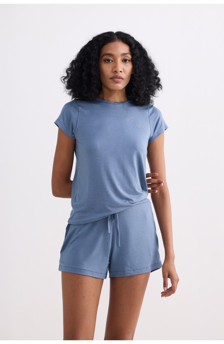 Reistor Regular Fit Essential Short Sleeve Tee Set, Main, color, Blue