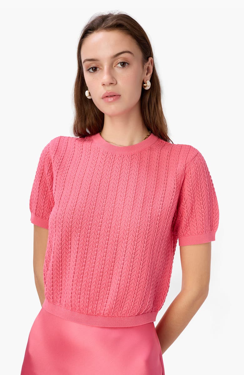 CAMI NYC Ellory Crop Cotton Pointelle Top, Alternate, color, Hibiscus