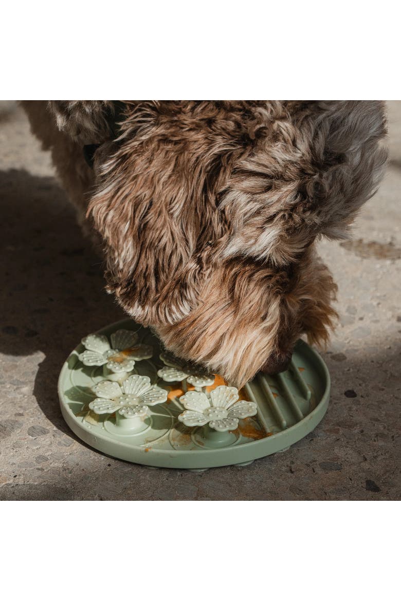 Hide & Seek Slow Feeder, Dog & Pet, Meal & Treat Feeding, Alternate, color, Green