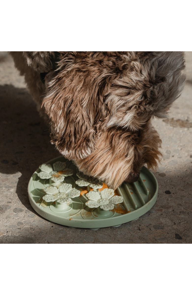 Dexypaws Hide & Seek Slow Feeder, Dog & Pet, Meal & Treat Feeding, Alternate, color, Green