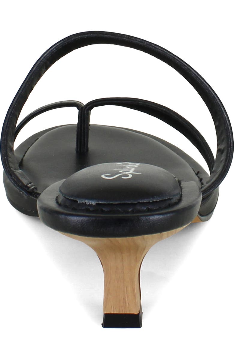 Splendid Hayes Kitten Heel Sandal, Alternate, color, Black