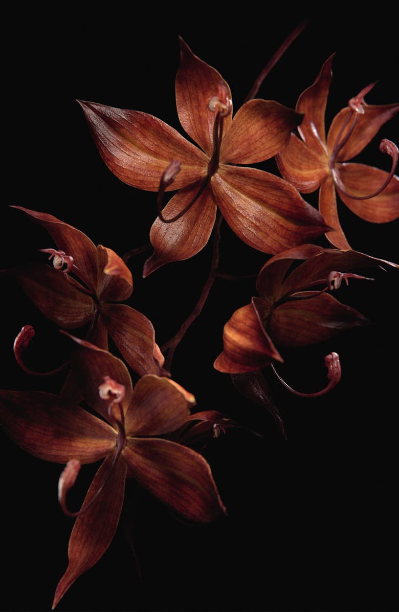 Guerlain Orchidée Impériale Black Day Cream, Alternate, color, 