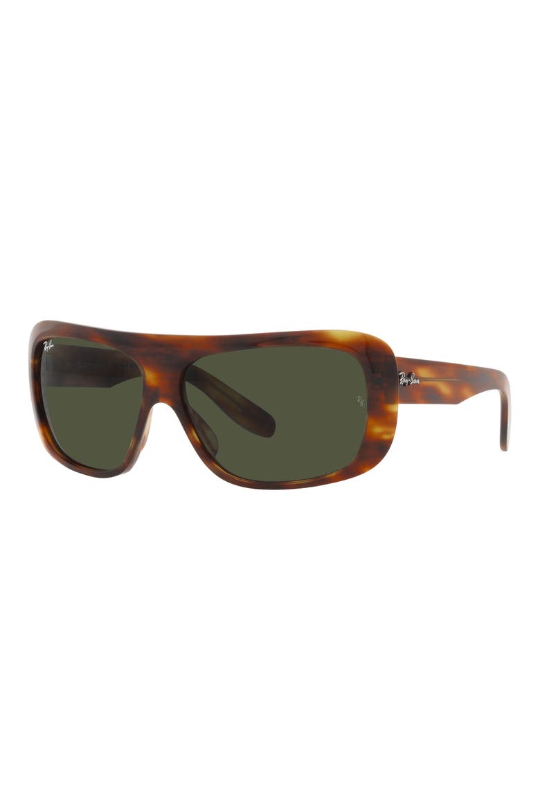 61mm Pillow Blair Evolution Shield Sunglasses, Alternate, color, STRIPED HAVA