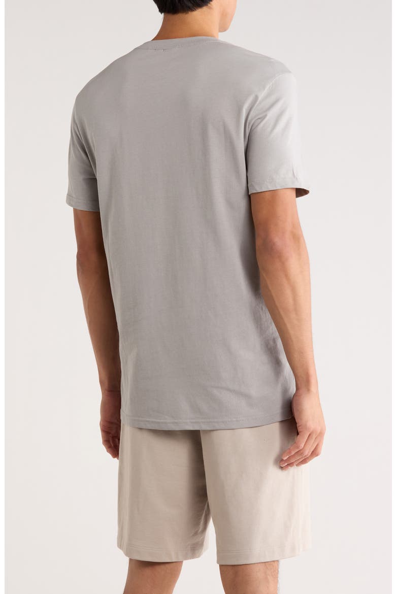 Logo Graphic T-Shirt, Alternate, color, SILVER