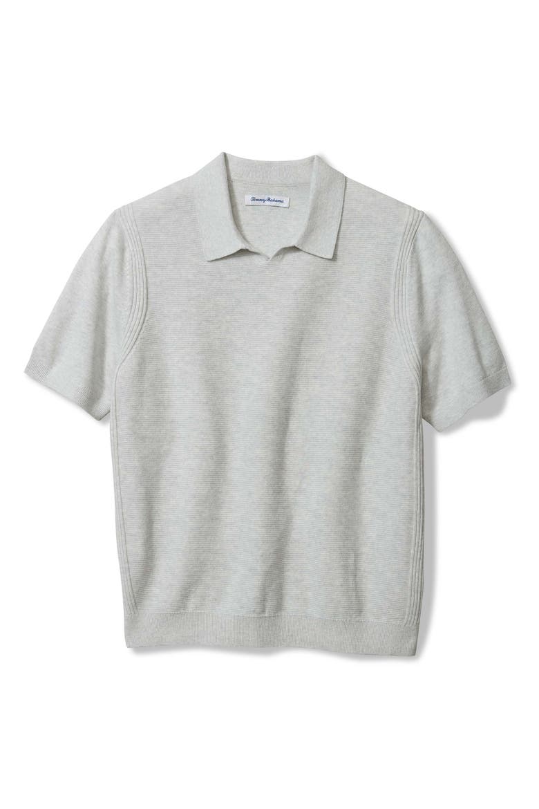 Capri Cove Johnny Collar Polo, Main, color, HEATHER GREY