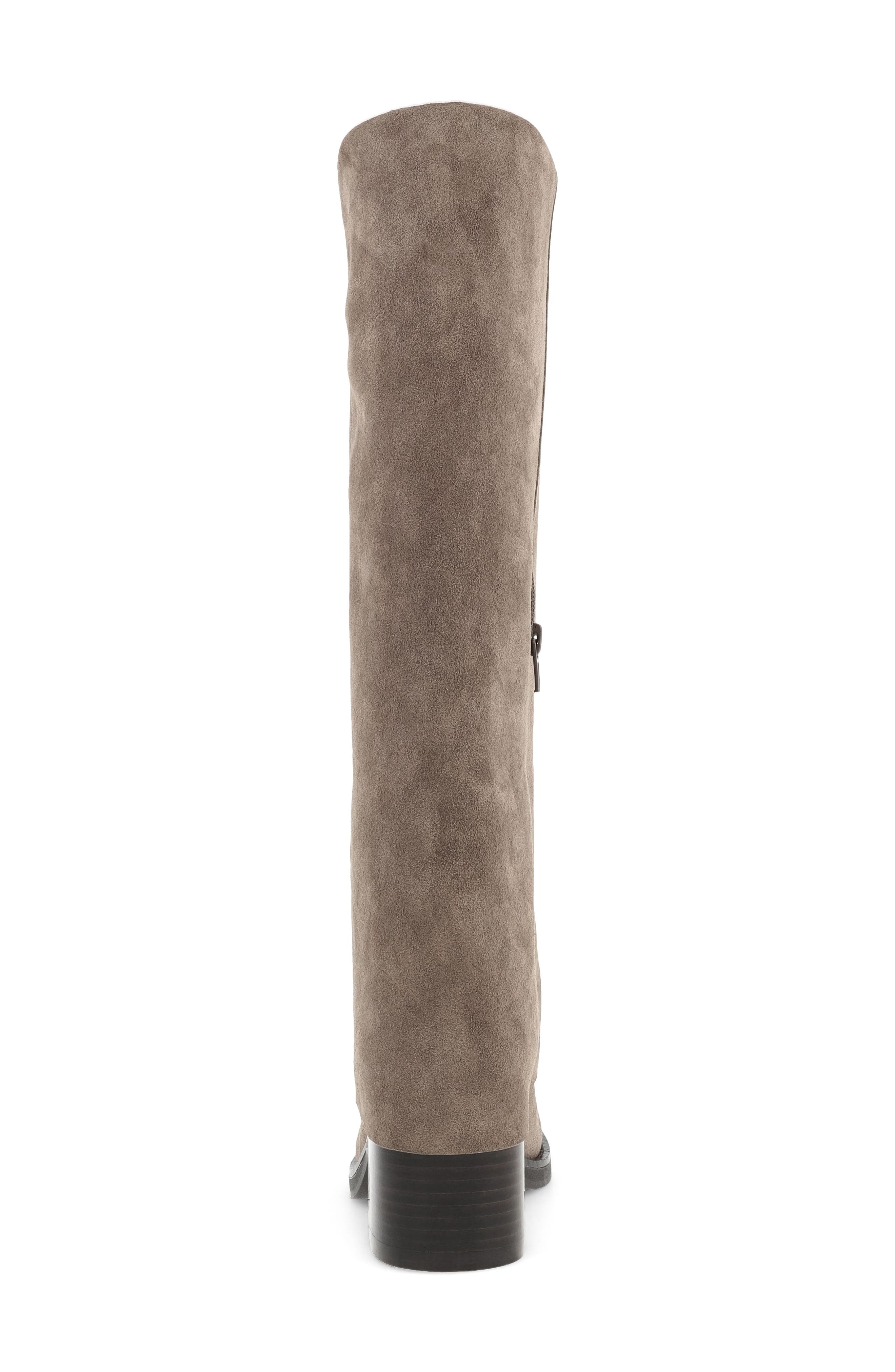 Evertt-R Knee High Boot, Alternate, color, TAUPE
