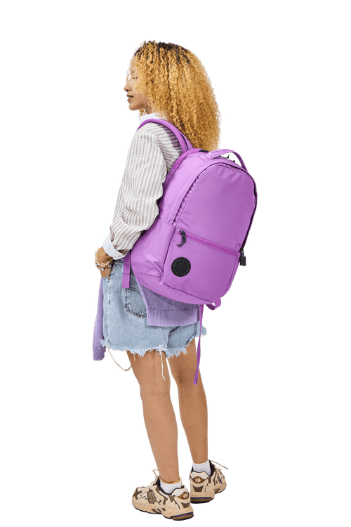 Baboon To The Moon City Backpack 24l In Purple