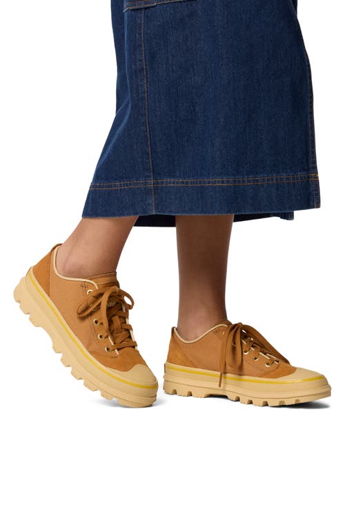 SOREL SOREL SCOUT N ABOUT™ LOW SNEAKER