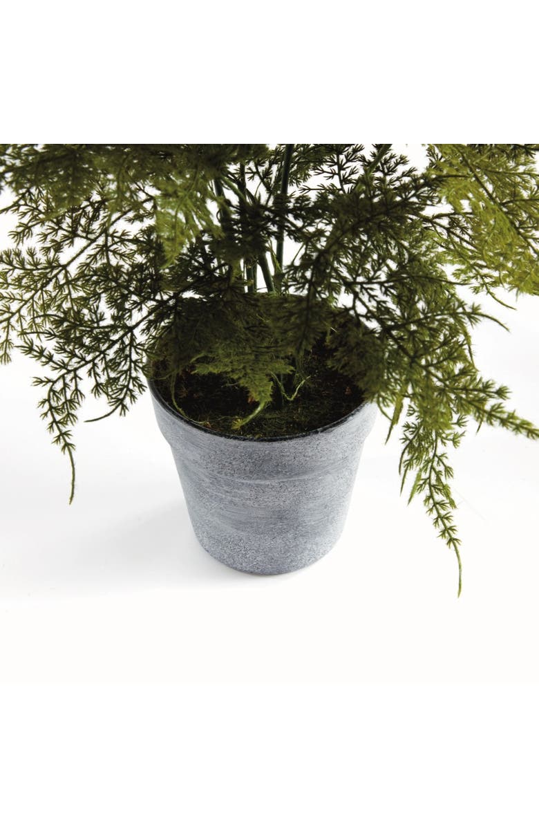 Napa Home & Garden Plumosa Fern Artificial Plant Drop-In, Alternate, color, Green