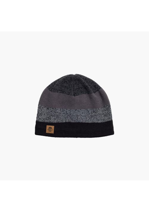 Turtle Fur Youth Btv Wool Beanie In Black