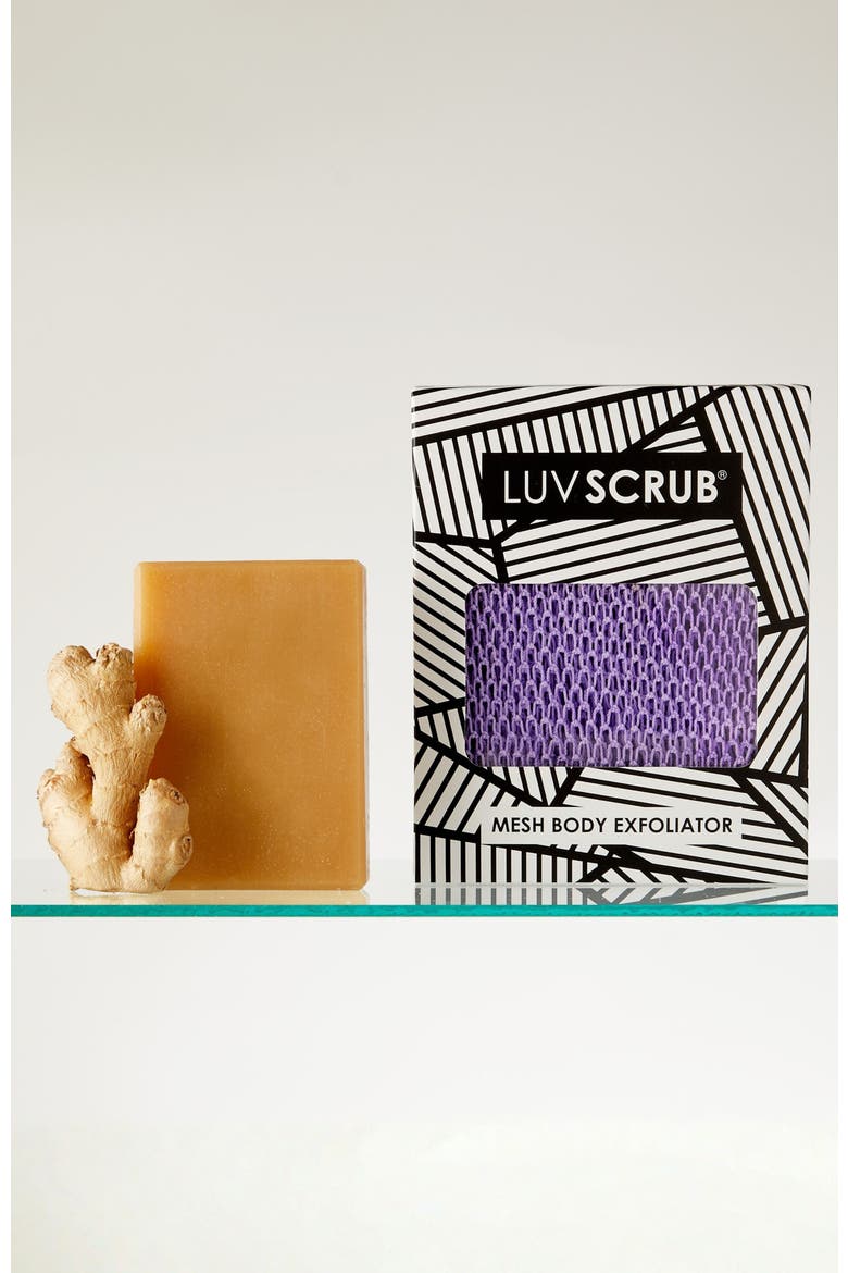 Sweet African Violet Duo - Mesh Body Exfoliator and Samina Bar, Main, color, Multiple colors