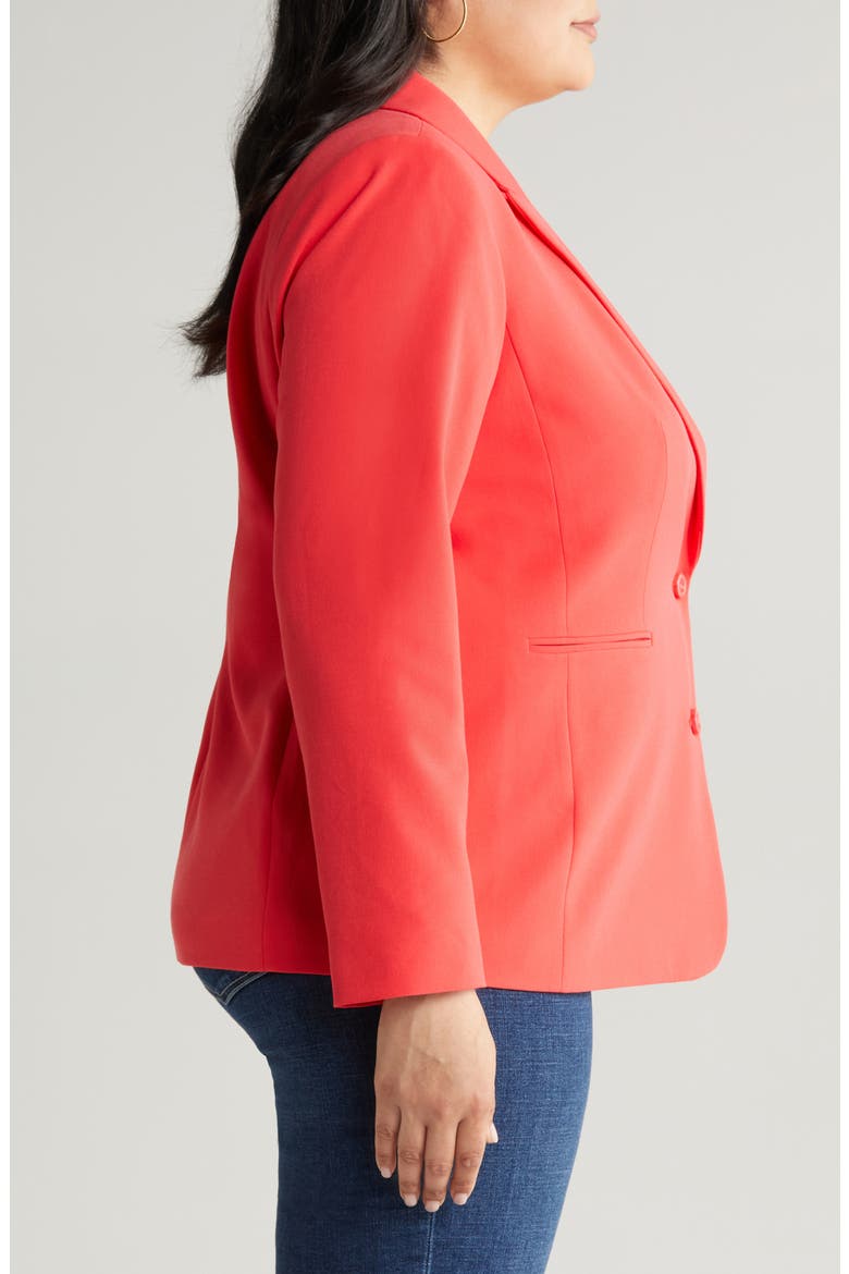 Stripe Lining Blazer, Alternate, color, GRENADINE