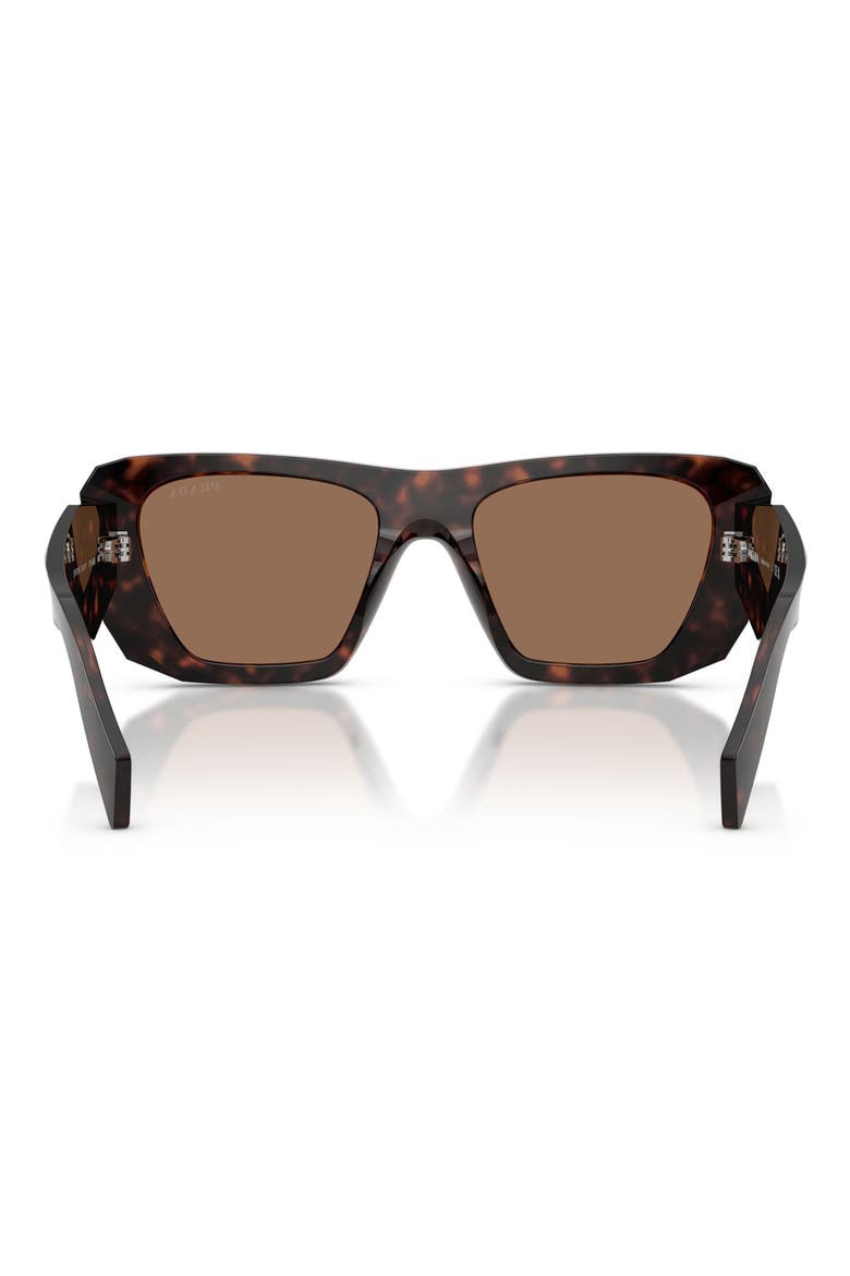 53mm Square Sunglasses, Alternate, color, ROOT TORTOISE / DARK BROWN