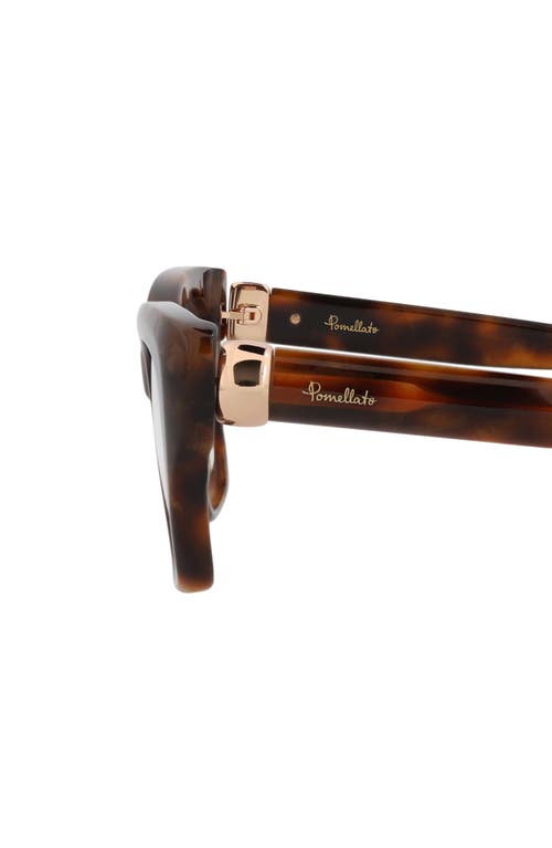 Pomellato Novelty 54mm Square Optical Glasses In Havana Havana Transparent