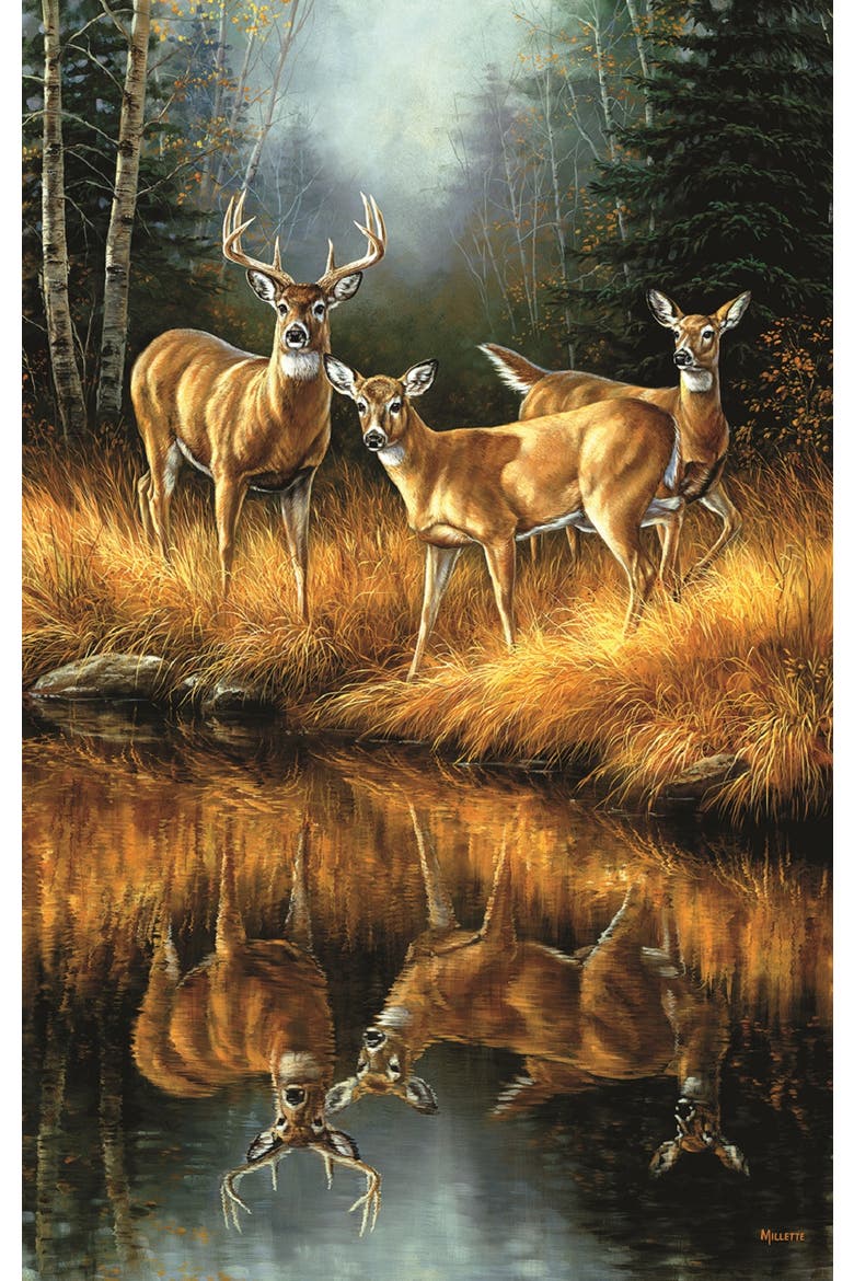 Whitetail Reflections 550 piece Jigsaw Puzzle for Adults, Alternate, color, Multicolor