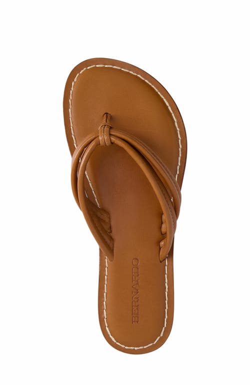 Shop Bernardo Footwear Miami Thong Sandal In Mahogany