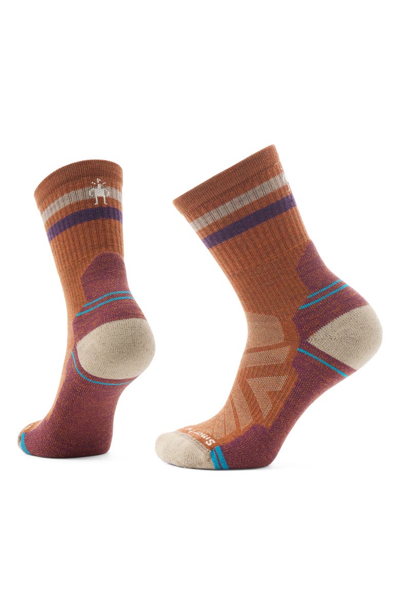 Smartwool Hike Light Cushion Tube Crew Socks, Main, color, Fossil