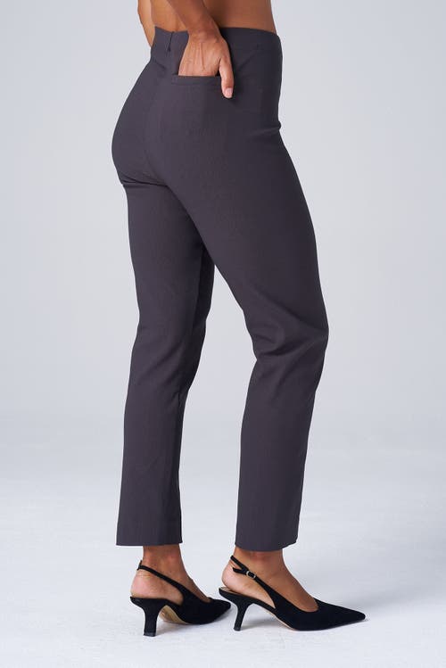 Franne Golde Slim Ankle Stretch Magic Pant In Carbon