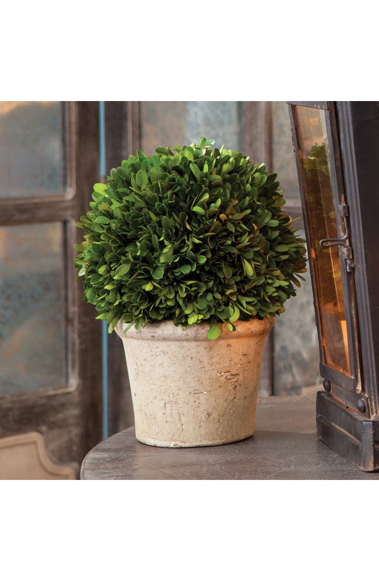 Napa Home & Garden Boxwood 8" Faux (Fake) Ball In Pot, Alternate, color, Green