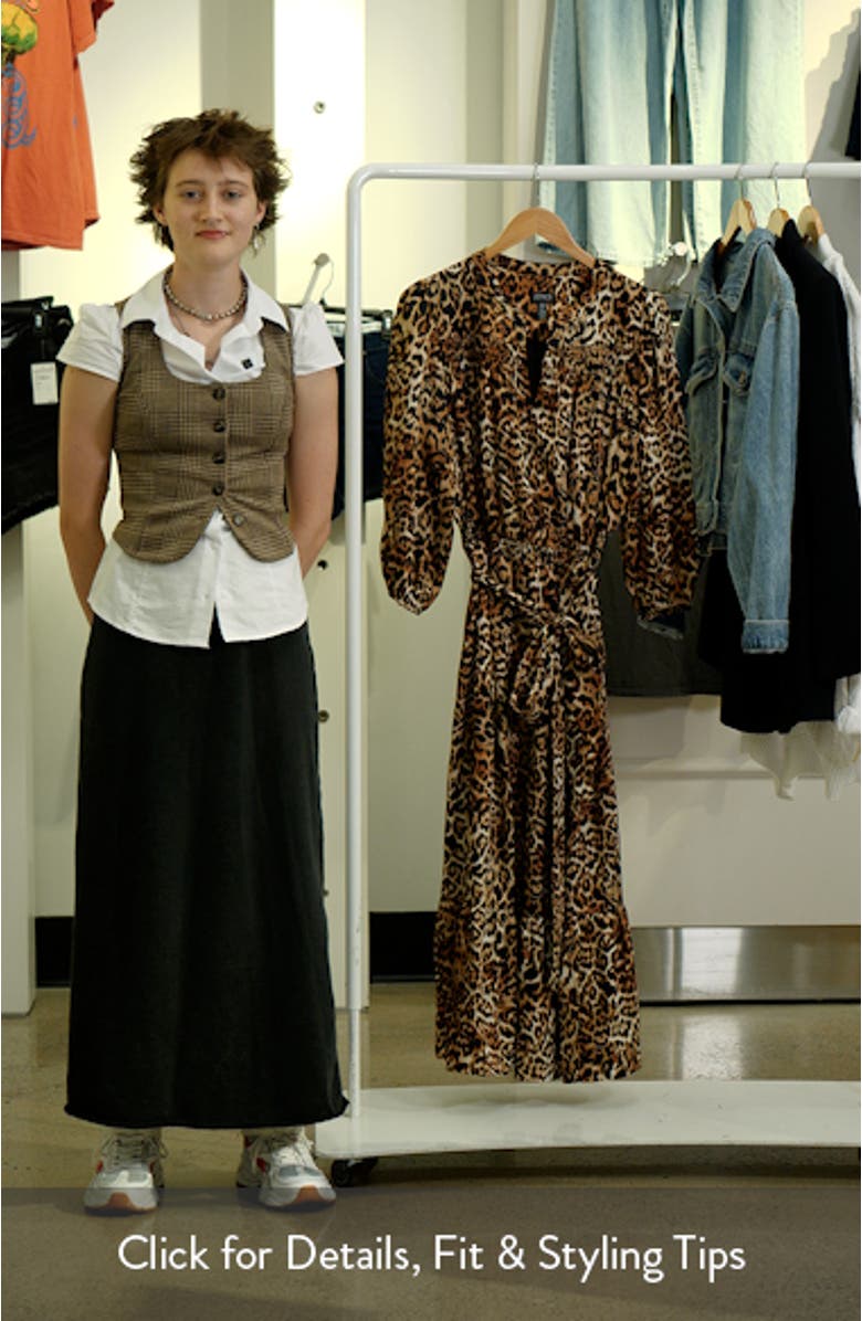 Leopard Print Long Sleeve Dress, sales video thumbnail