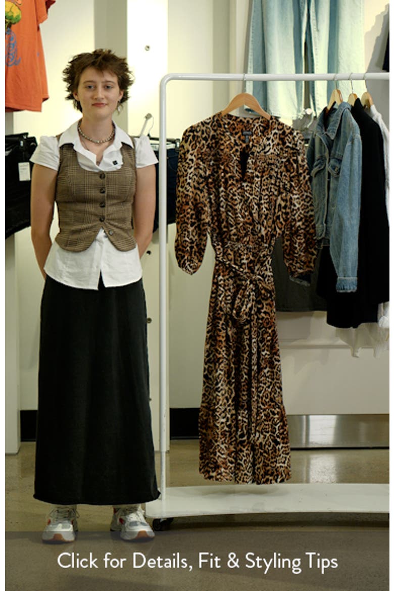 Leopard Print Long Sleeve Dress video