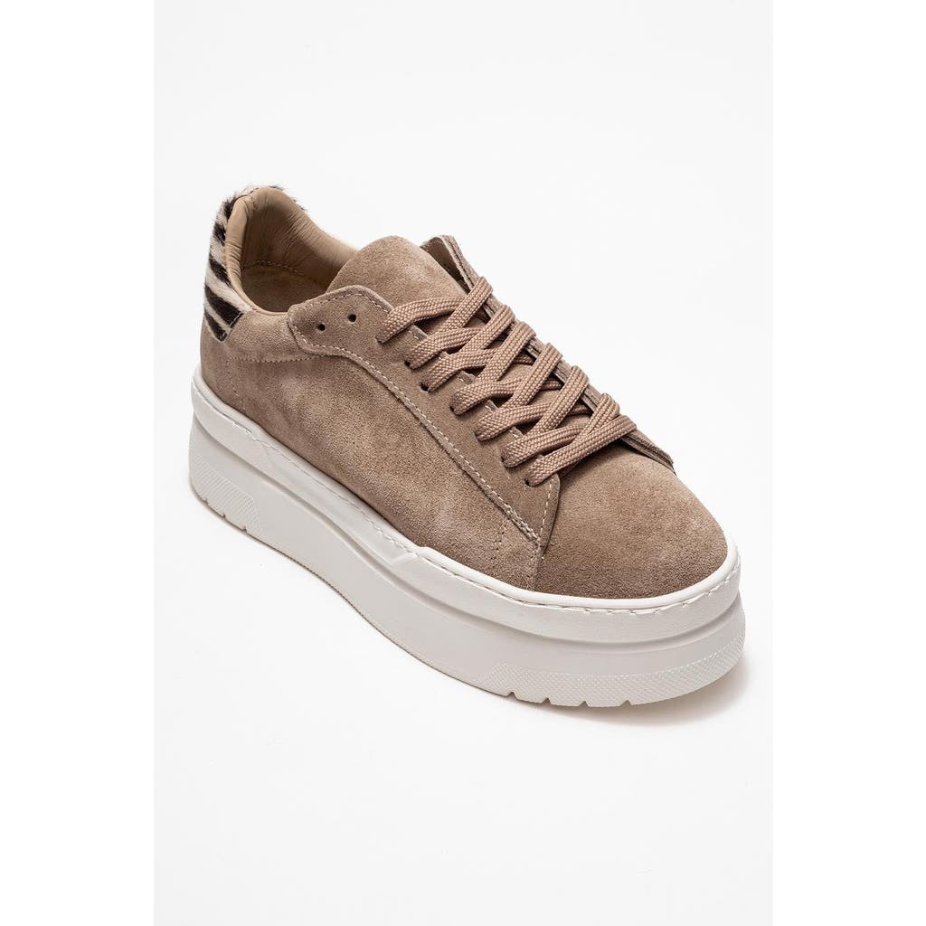 Forever & Always Shoes Anabel Leather Platform Sneakers In Multi