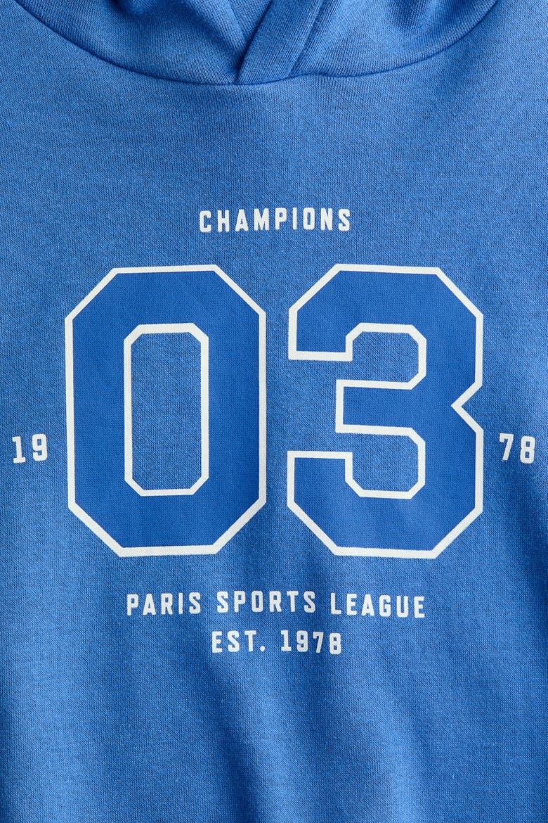 Printed Hoodie, Alternate, color, Blue/03