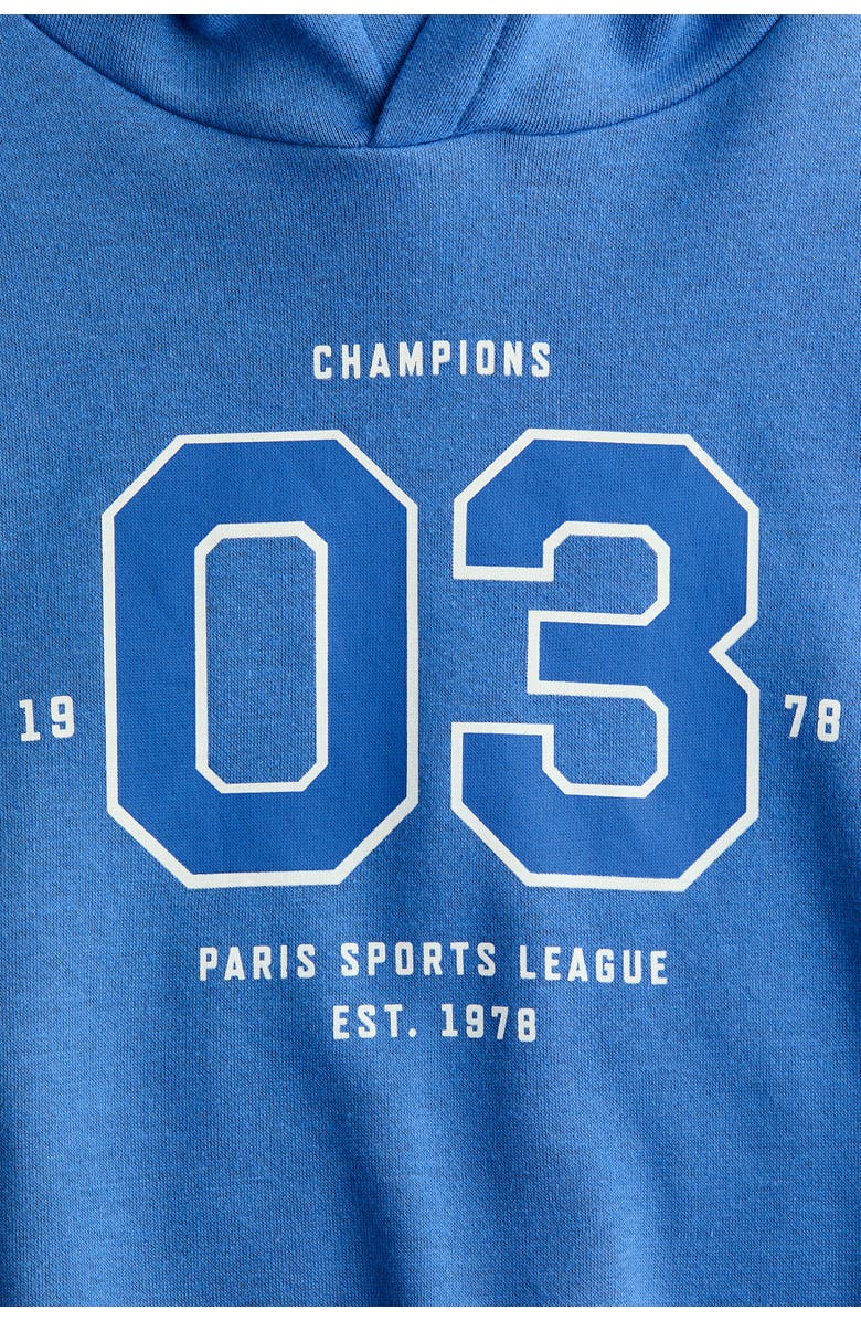 H&M Printed Hoodie, Alternate, color, Blue/03