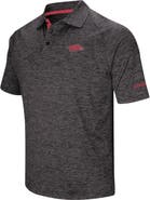 COLOSSEUM Men's Colosseum Black Arkansas Razorbacks Big & Tall Down Swing Polo