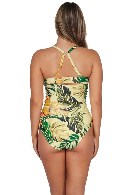 Sunsets Serena Tankini In Amber Oasis