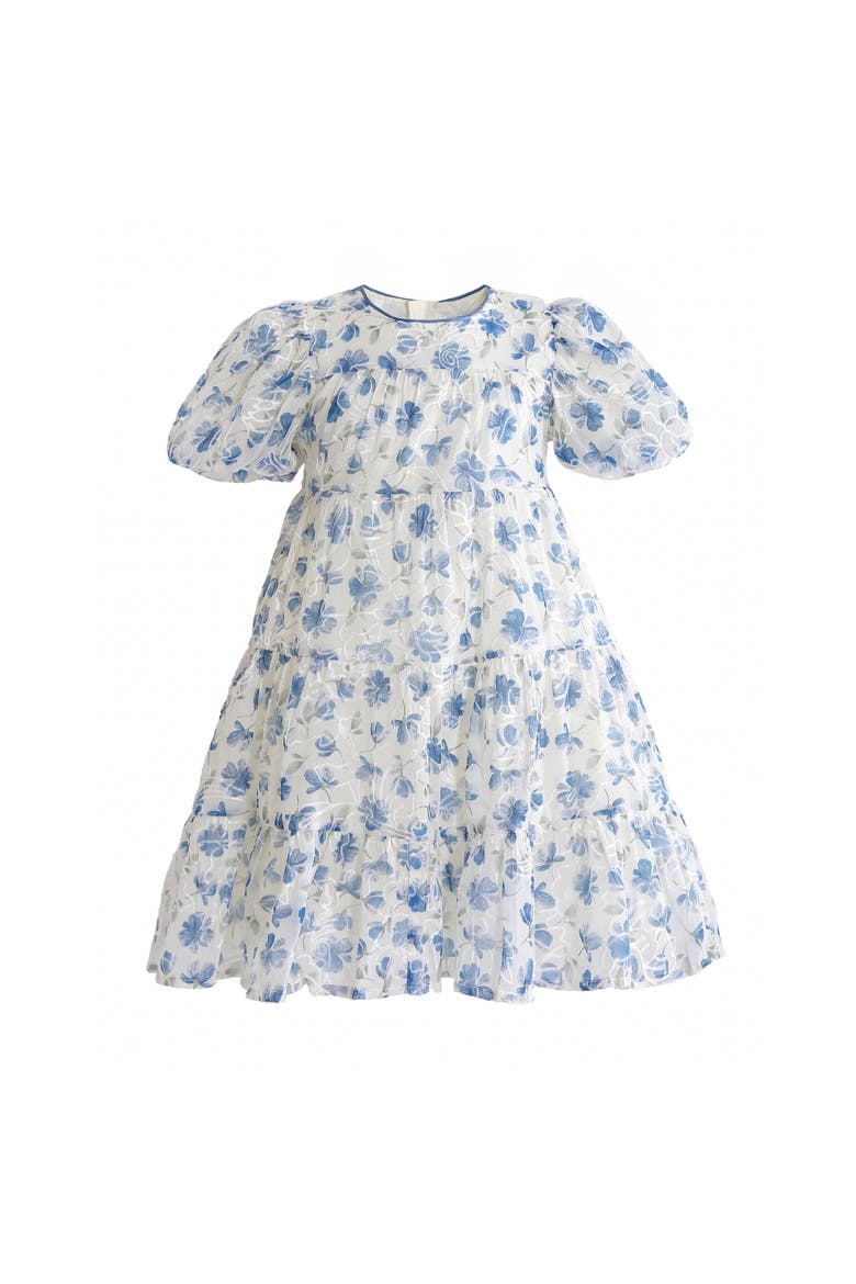 Feadow Tiered Floral Dress, Main, color, Blue