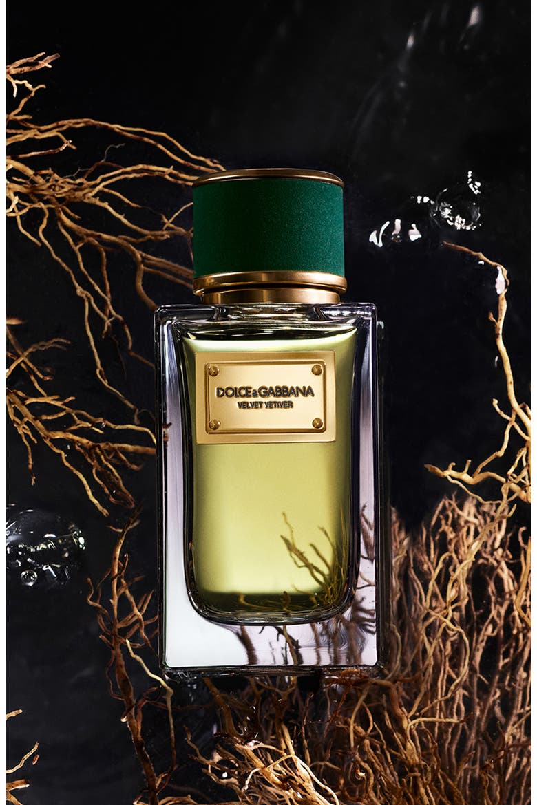 Velvet Vetiver Eau de Parfum, Alternate, color, NO COLOR