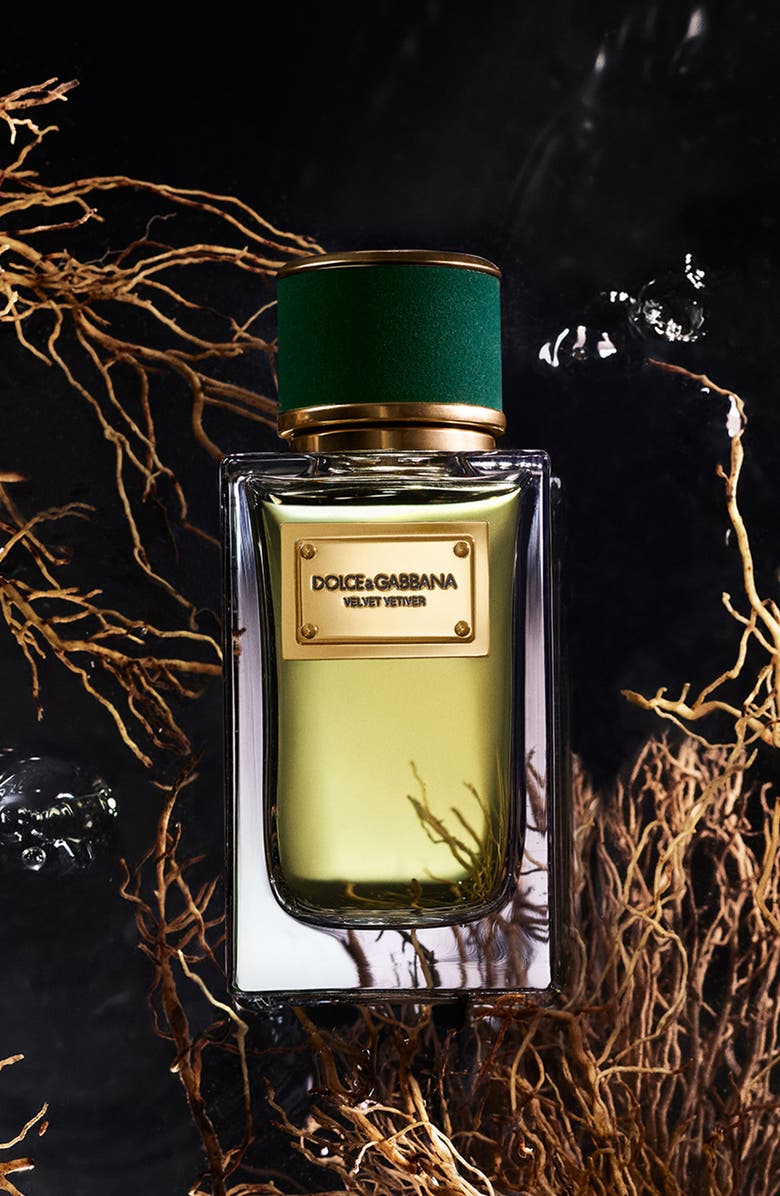 Dolce&Gabbana Velvet Vetiver Eau de Parfum, Alternate, color, 