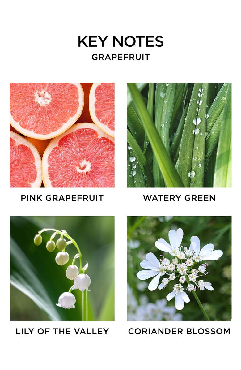 NEST New York Grapefruit Scented Petite Candle & Diffuser Gift Set, Alternate, color, 