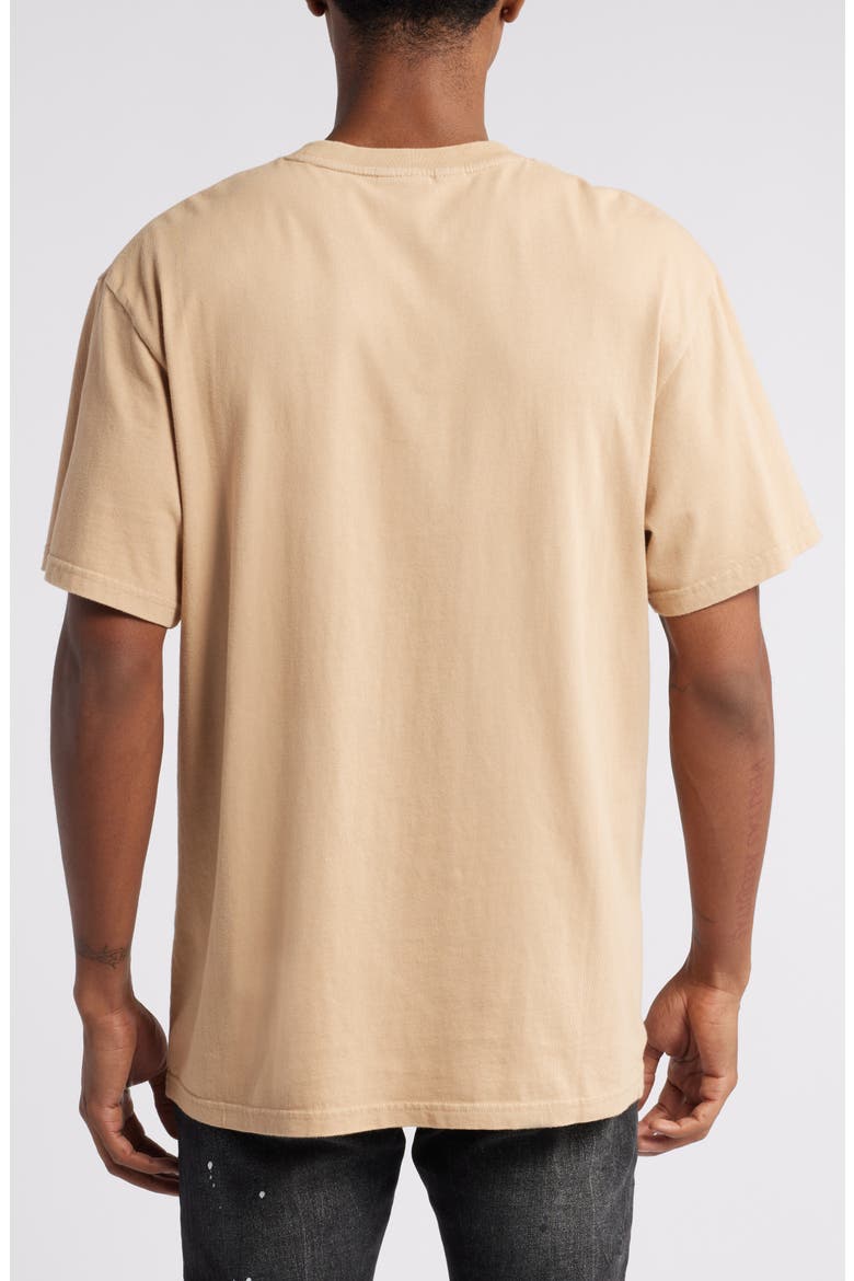 Equuleus Cotton Graphic T-Shirt, Alternate, color, NOMAD