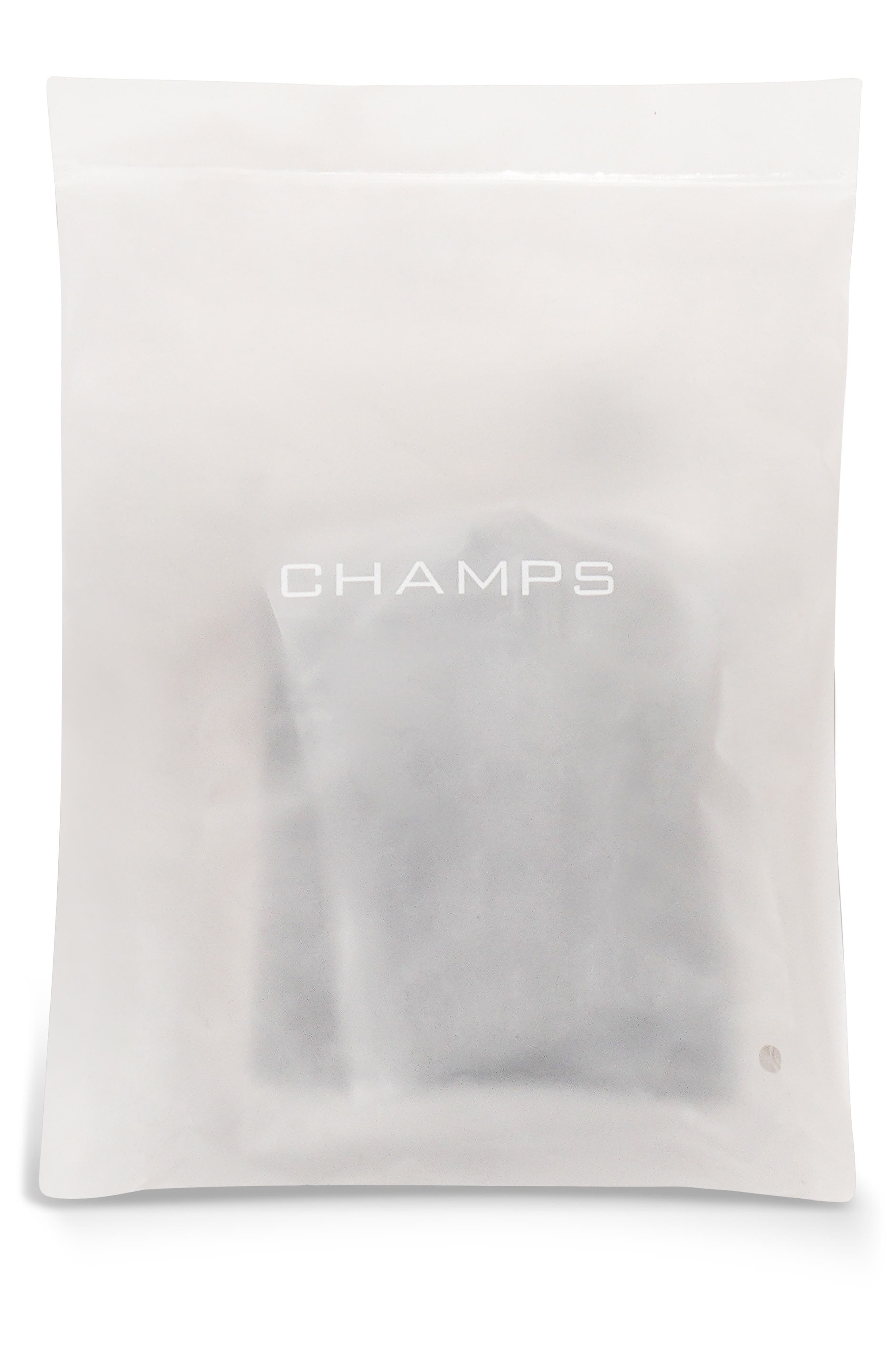 CHAMPS Luggage Care Set, Alternate, color, 
