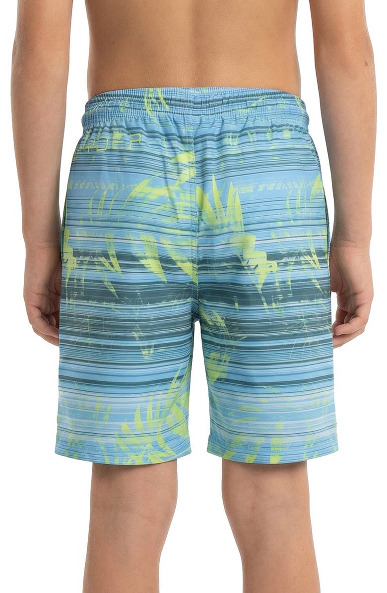 Spyder Kids' Sandstorm Palm Volley Swim Trunks, Alternate, color, Alaskan Blue