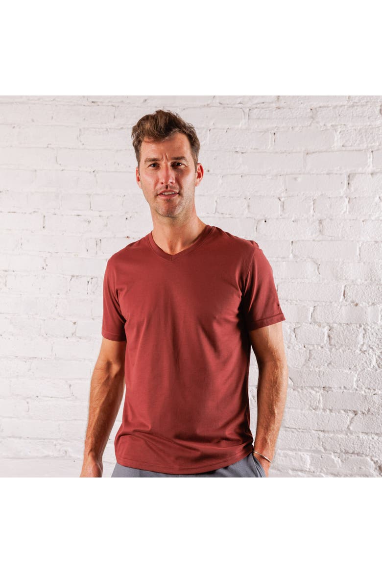 Everyday Tee with V-Neck, Alternate, color, Crimson