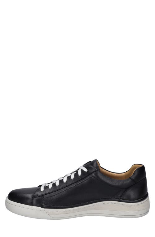 Josef Seibel Cleve 2 Sneaker In Black