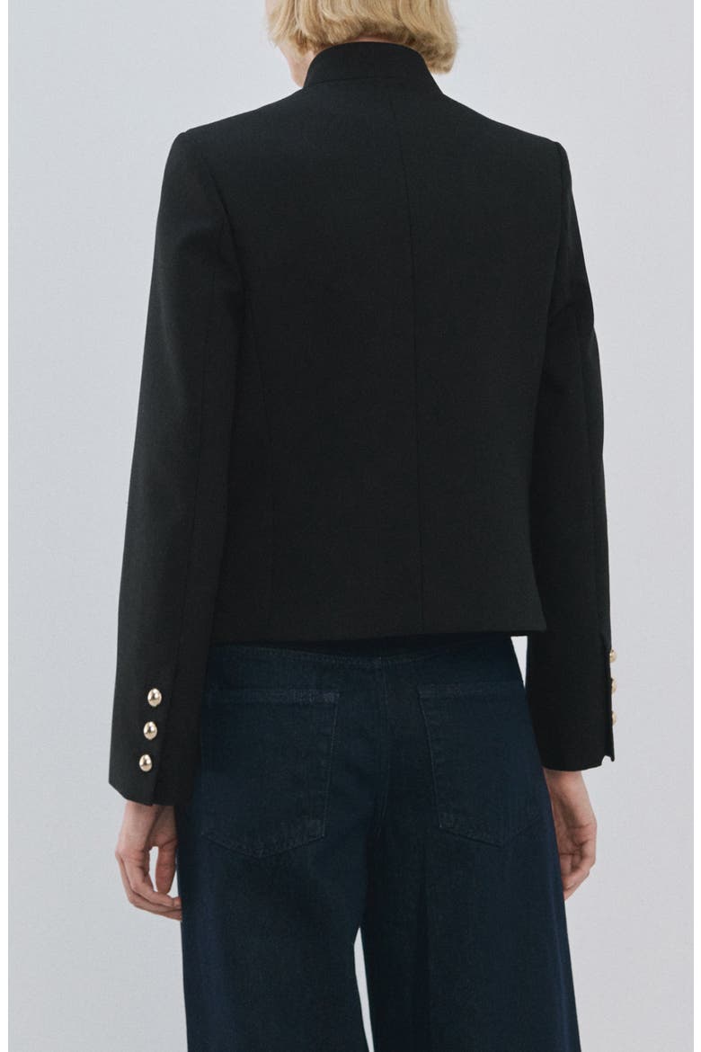 Mandarin Collar Jacket, Alternate, color, BLACK