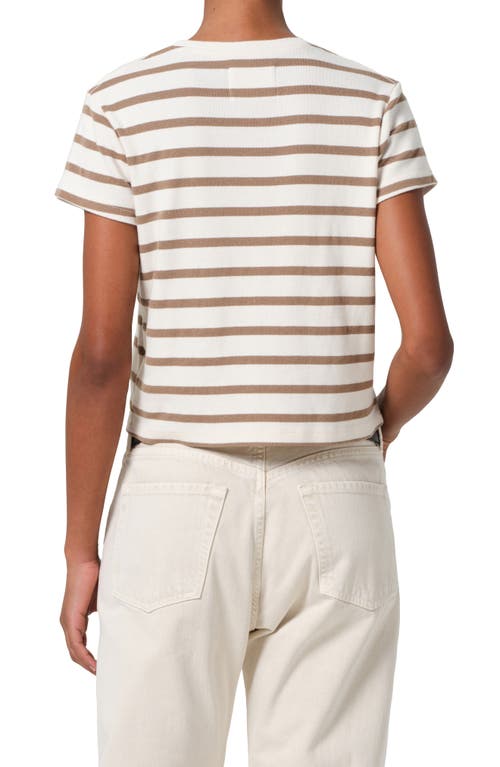Citizens Of Humanity Kyle Stripe T-shirt In Ginger Stripe