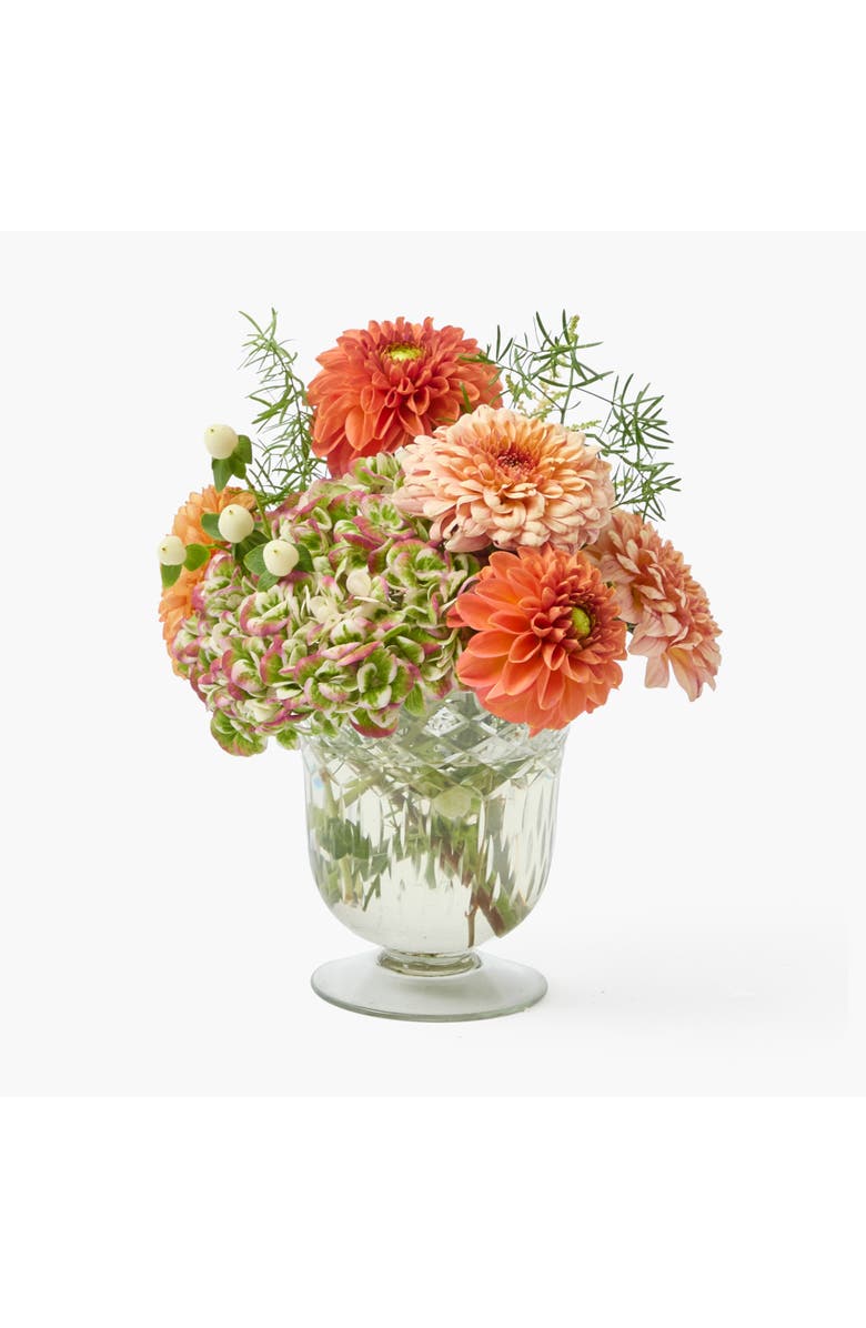 Mrs. Alice Scalloped Engraved Glass Vase, Main, color, Clear