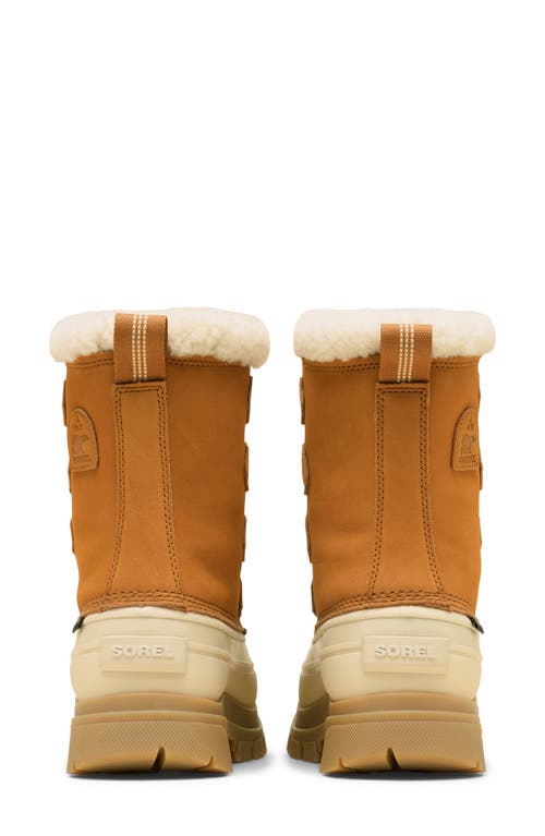 Sorel Caribou Horizon Gtx Genuine Shearling Boot In Brown