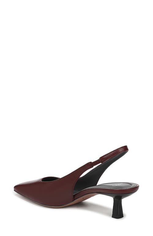 Sarto By Franco Sarto Raven Slingback Kitten Heel Pump