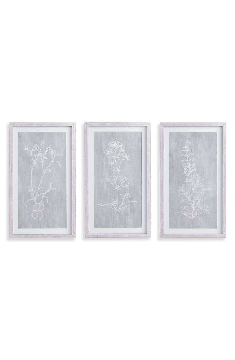 Napa Home & Garden Sketched Botanical Prints Set of 3, Main, color, Grey