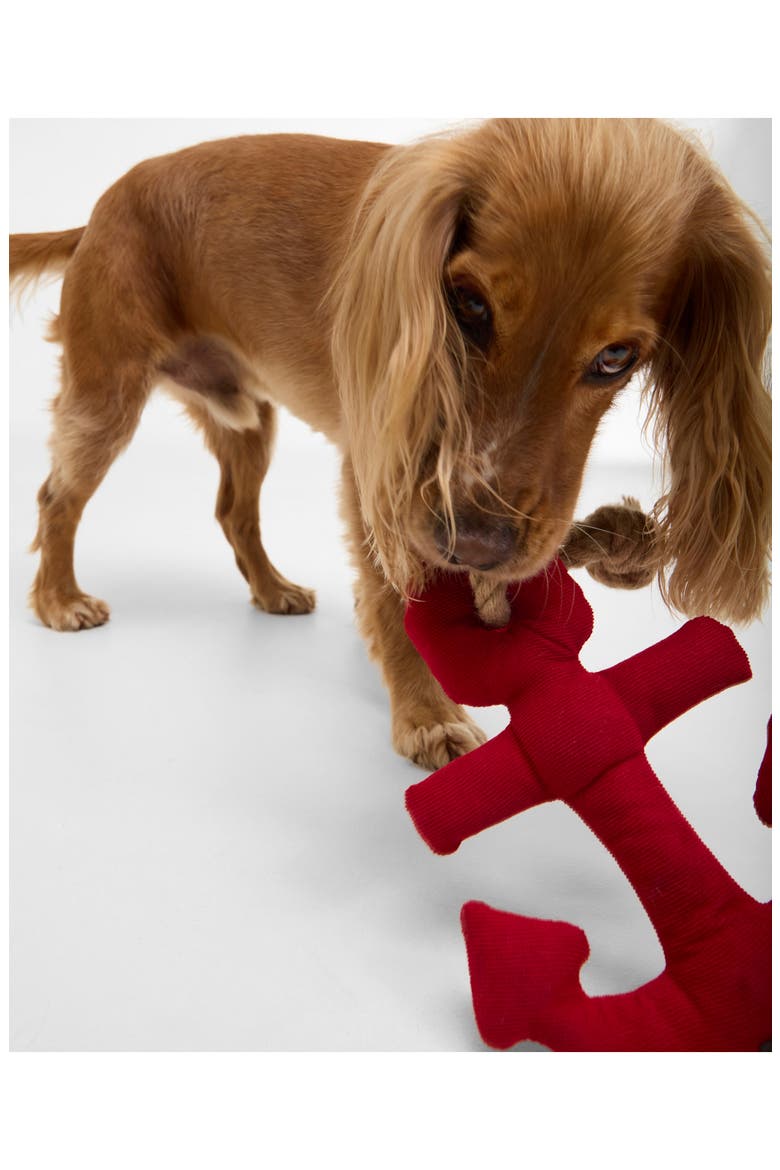 Anchor Dog Toy, Alternate, color, RED